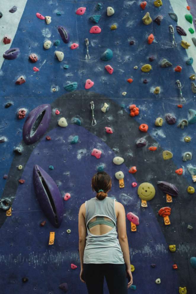 a climbing wall as a steering committee analogy