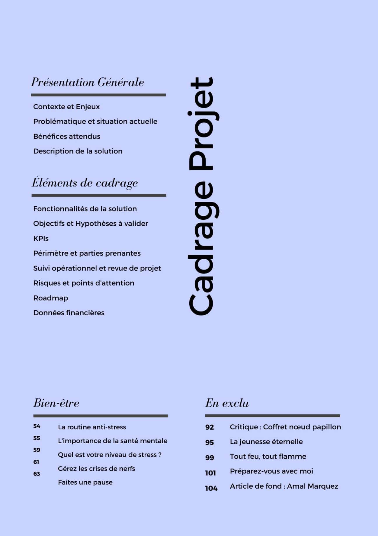 Project framing document
