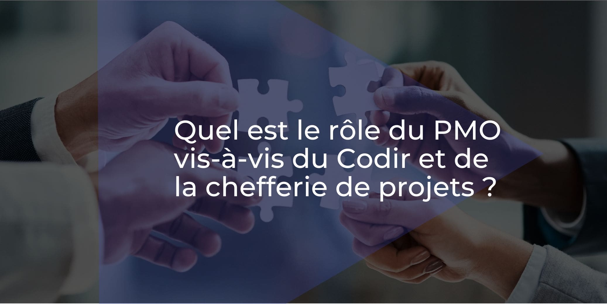 PMO et Codir : comment trouver la juste posture avec la direction ?