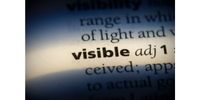 Visibility of the projects in the PPM