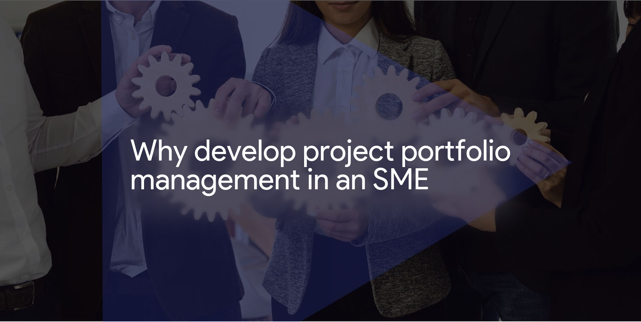 Why develop project portfolio management in an SME?