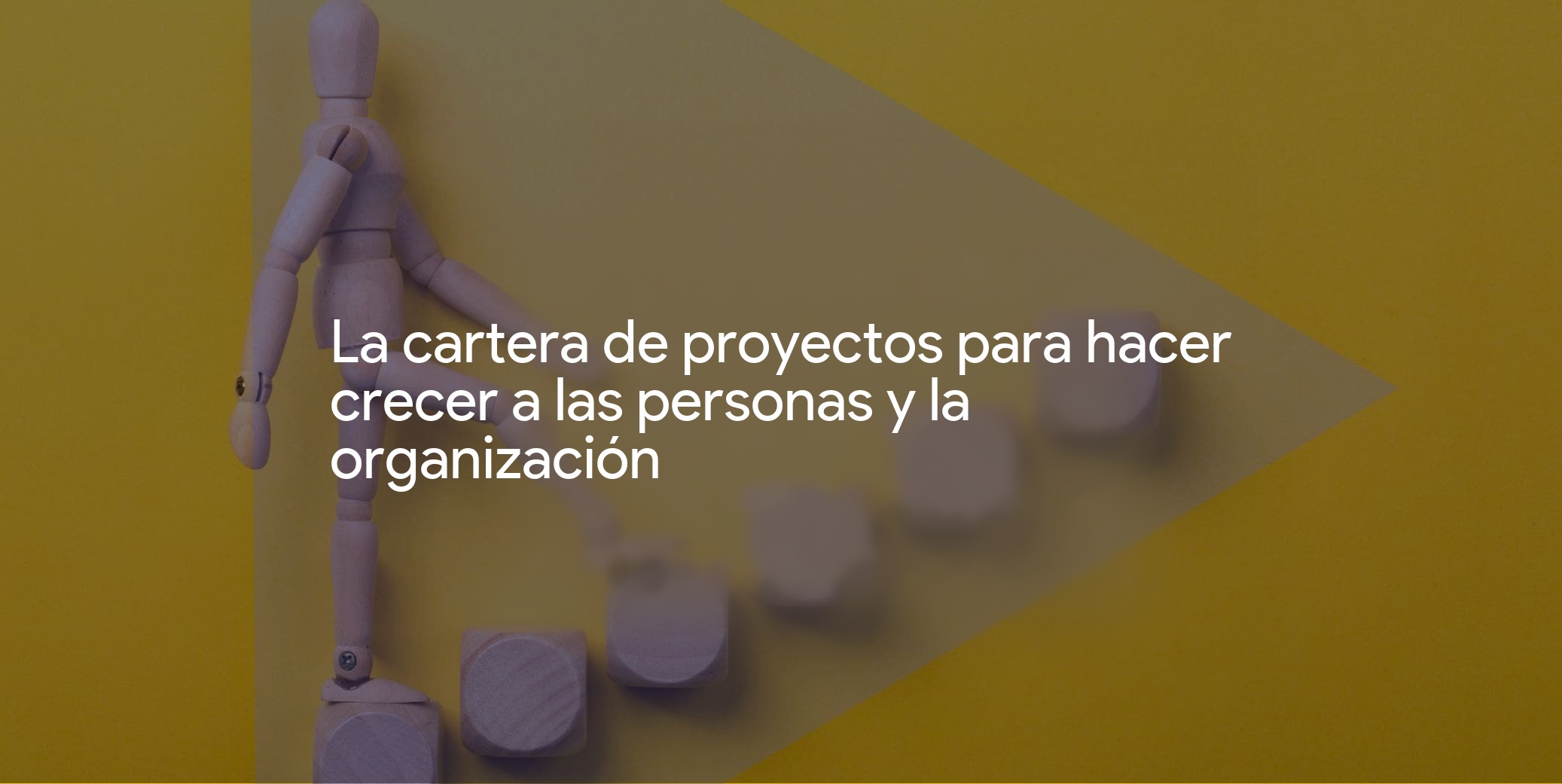 La cartera de proyectos para hacer crecer a las personas y a la organización