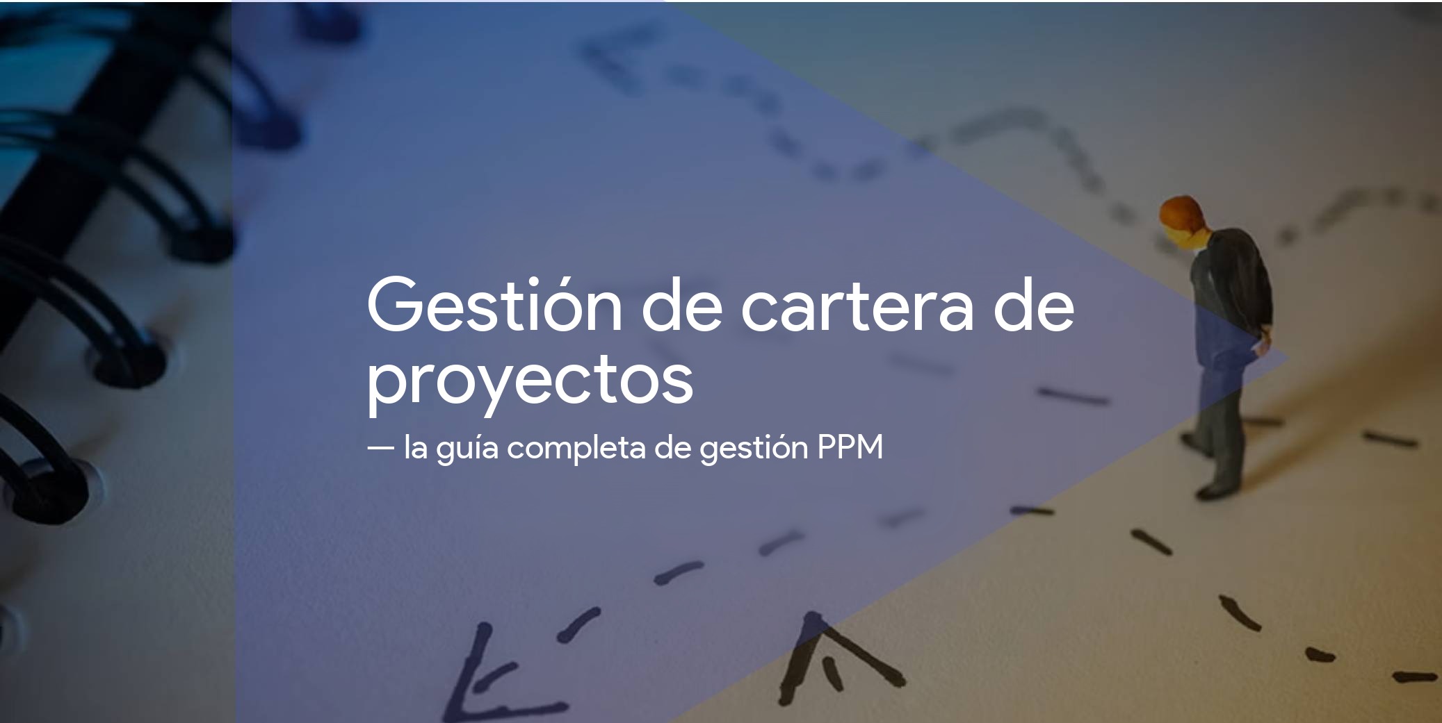 Gestión de cartera de proyectos